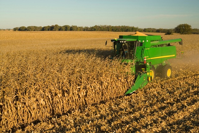 CESFAC espera pronto medidas de reabastecimiento de materias primas para alimentación animal