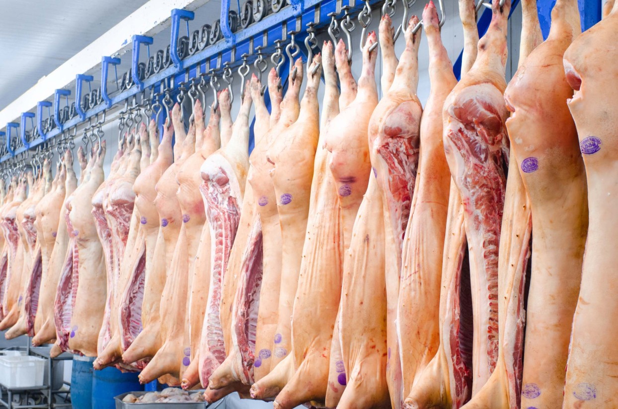 Establecimientos autorizados a exportar carne de porcino a China