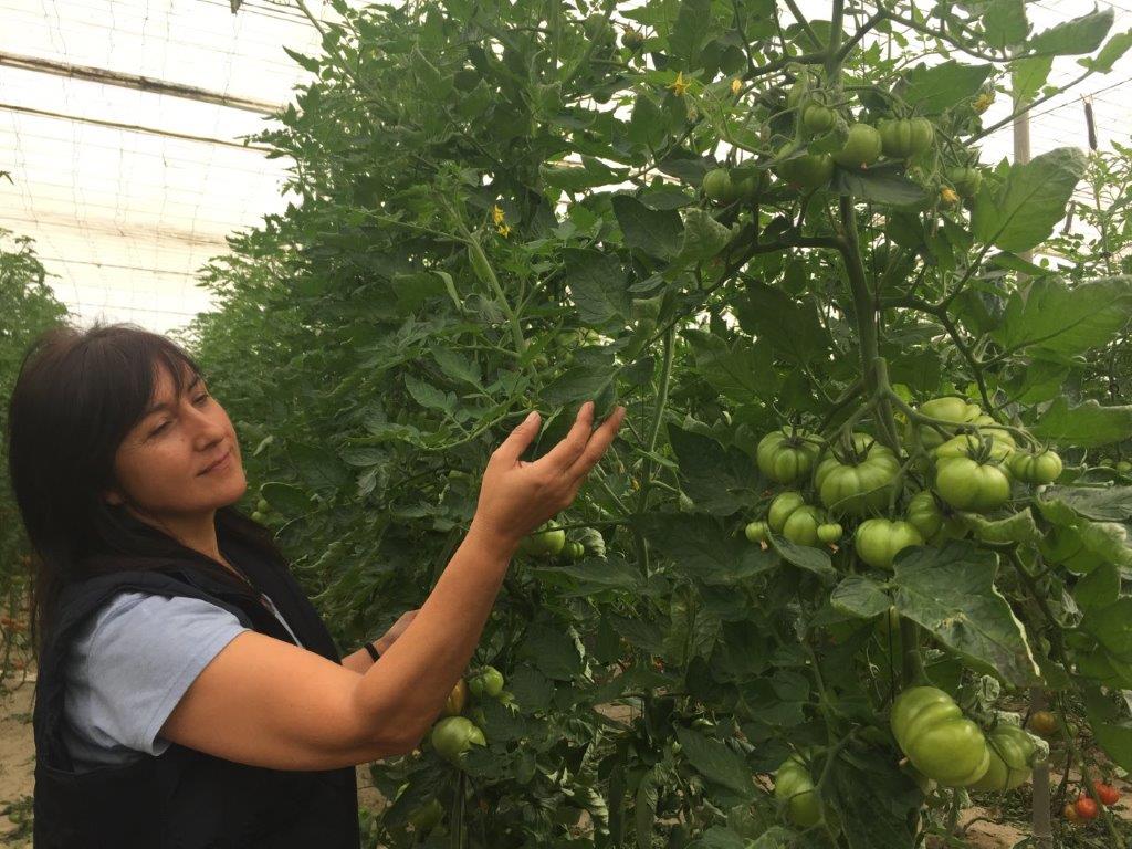 Cuando la mujer rural se baja del tractor: mitos y realidades. Por Inmaculada Idañez   