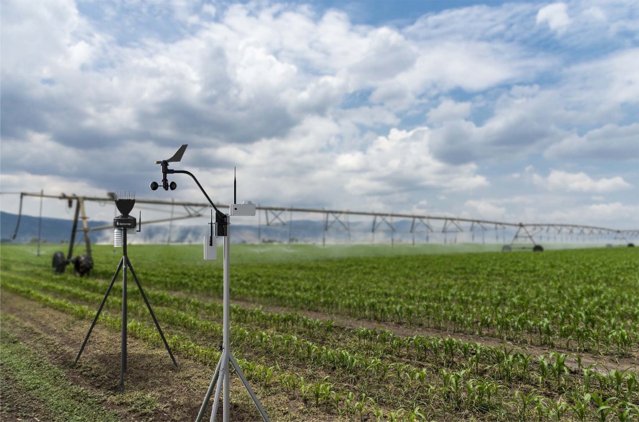 Solarcrop, el sensor de radiación solar para la optimización del riego de Sencrop