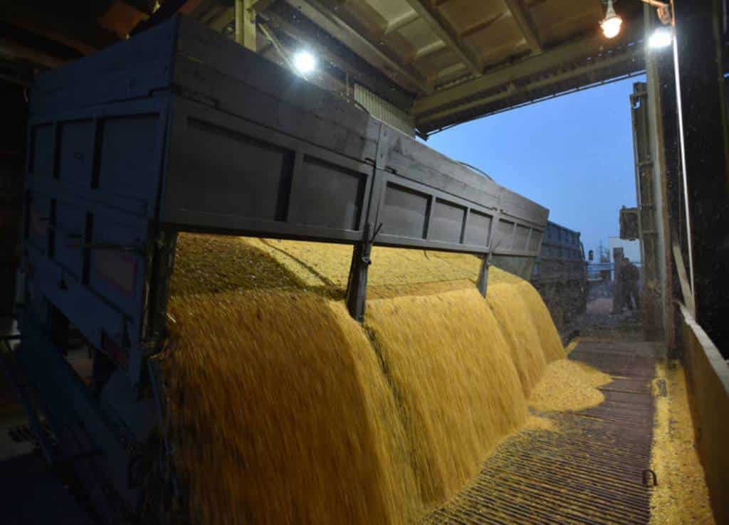 Ganaderos y fabricantes de piensos claman por cualquier decisión que permita traer ya cereal a España