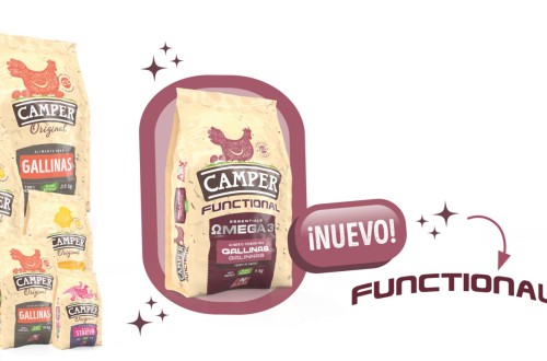 Camper estrena una nueva imagen de marca