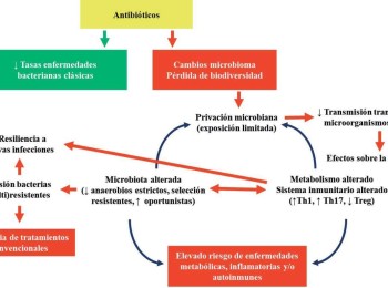 Sustitución del tratamiento antimicrobiano metafiláctico por un pienso fermentado con Ligilactobacillus salivarius MP100