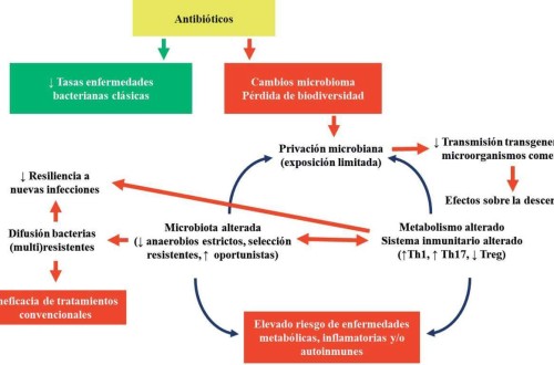 Sustitución del tratamiento antimicrobiano metafiláctico por un pienso fermentado con Ligilactobacillus salivarius MP100