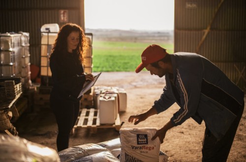 YaraRega, la primera gama de fertilizantes NPK granulares y solubles de Yara