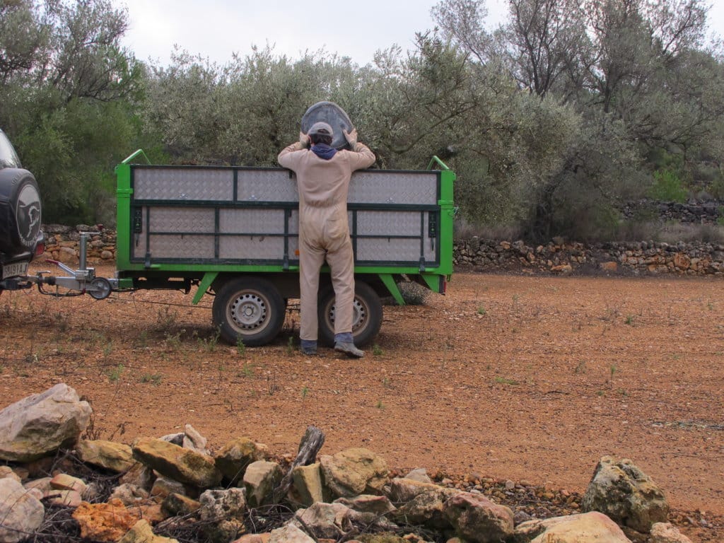 Subió el paro registrado en Agricultura y bajó la afiliación agraria a la Seguridad Social en febrero