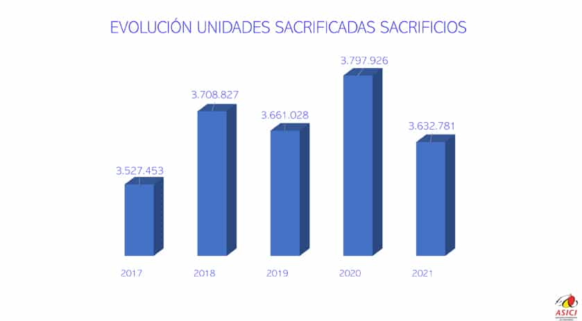 ASICI presenta unos resultados de producción 2021 estables que avalan «la robustez» del sector ibérico