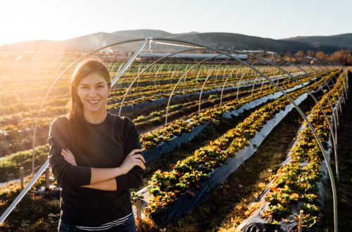 Fundación MAPFRE pone en marcha la segunda edición del Premio a la Mejor Iniciativa en el Sector Agropecuario   