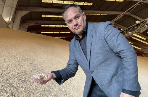 Agafac alerta de que solo hay maíz en los puertos para un mes y medio