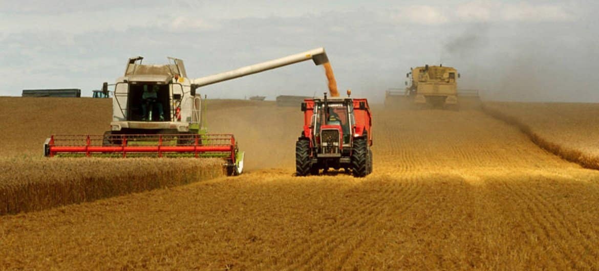 FAO: «la guerra en Ucrania amenaza la seguridad alimentaria de al menos medio centenar de países»