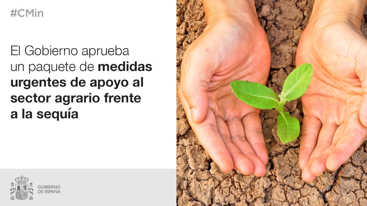 Publicado el RD-ley 4/2022 de medidas urgentes para afrontar la sequía prolongada en el campo español