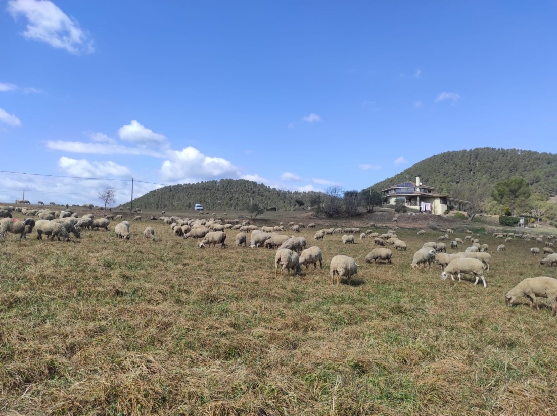 Unión de Uniones: las ayudas aprobadas se quedan cortas y no responden a la gravedad de la situación en el campo