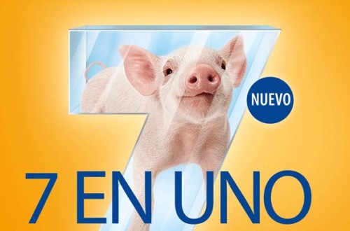 Ceva presenta Enteroporc Coli AC, la vacuna frente a la diarrea porcina neonatal