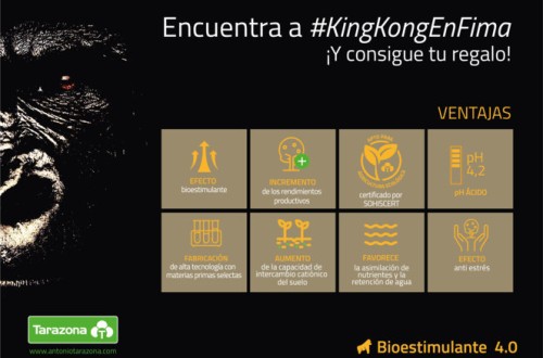 Tarazona te acerca a las Fallas en FIMA 2022