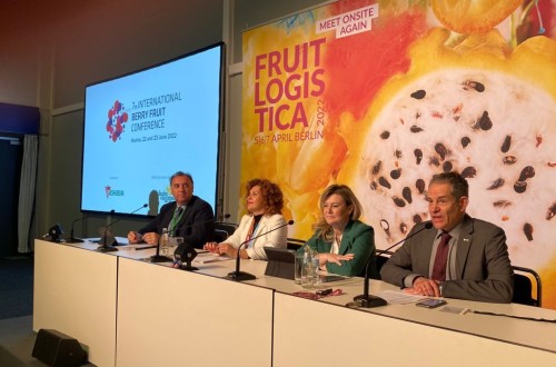 Freshuelva presenta la VII edición de su Congreso Internacional de Frutos Rojos