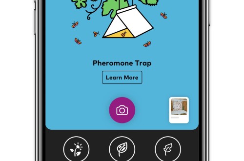 xarvio Scouting introduce una nueva funcionalidad para un análisis de precisión de las trampas de feromonas