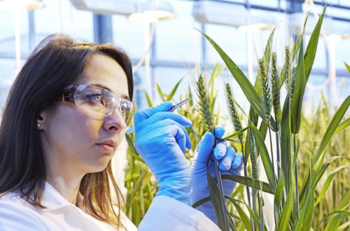 Basf presenta su cartera de innovaciones para la agricultura para los próximos diez años