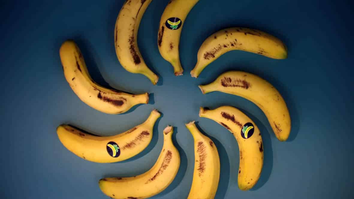 Plátano de Canarias lanza una campaña centrada en no comprar fruta por su apariencia
