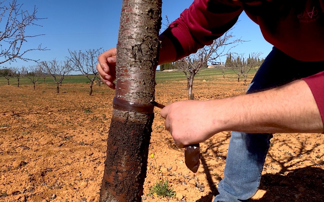 Pegafit obtiene la certificación para su uso en agricultura ecológica