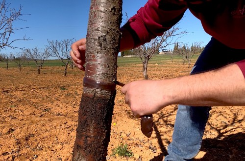 Pegafit obtiene la certificación para su uso en agricultura ecológica