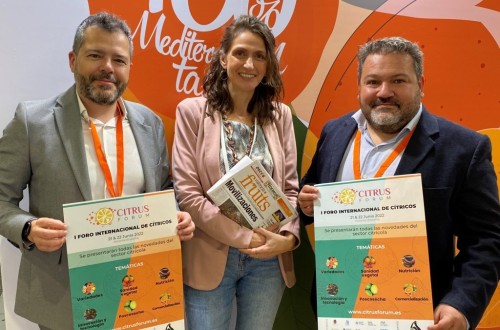 Alicante acogerá en junio el I Foro Internacional de Cítricos