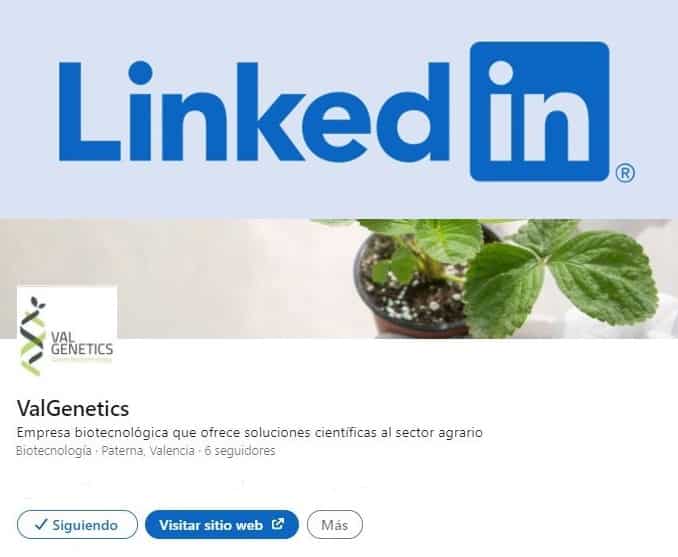ValGenetics renueva su página de LinkedIn