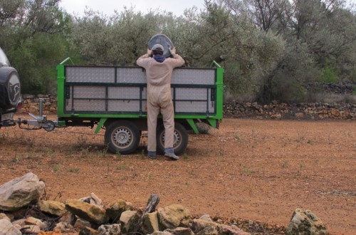 Subió el paro y descendió la afiliación de trabajadores a la Seguridad Social en el sector agrario en marzo