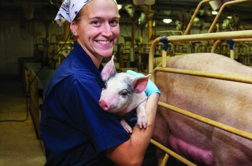 Elanco apoya a los profesionales veterinarios para fortalecer la resiliencia veterinaria