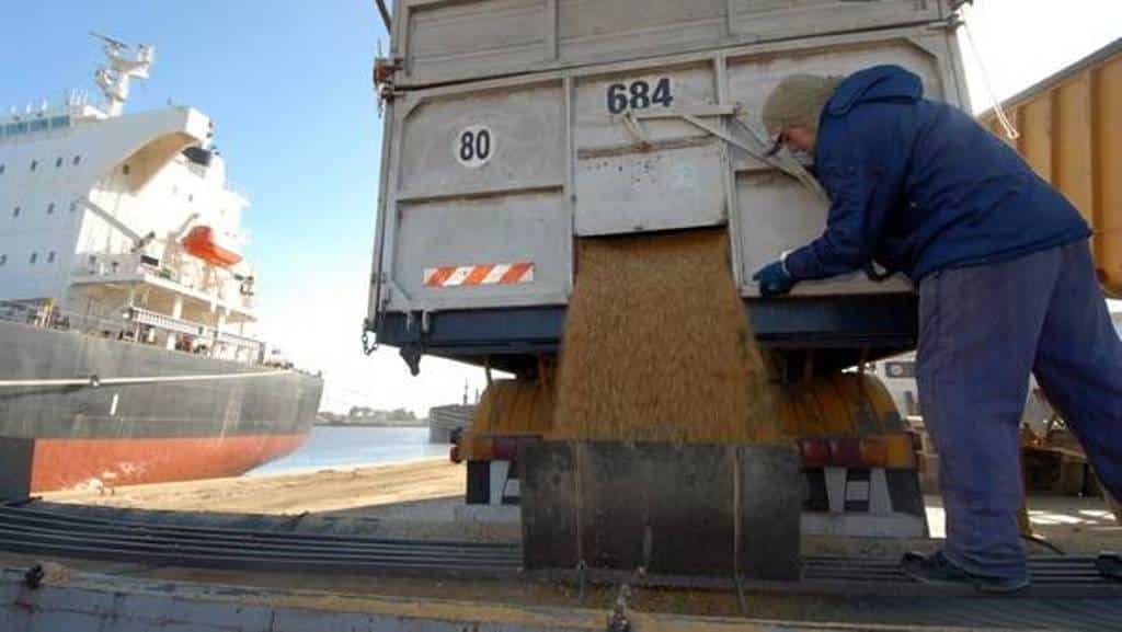 El MAPA estima importaciones de 14 Mt de cereales y 7,4 Mt de oleaginosas en 2021/22