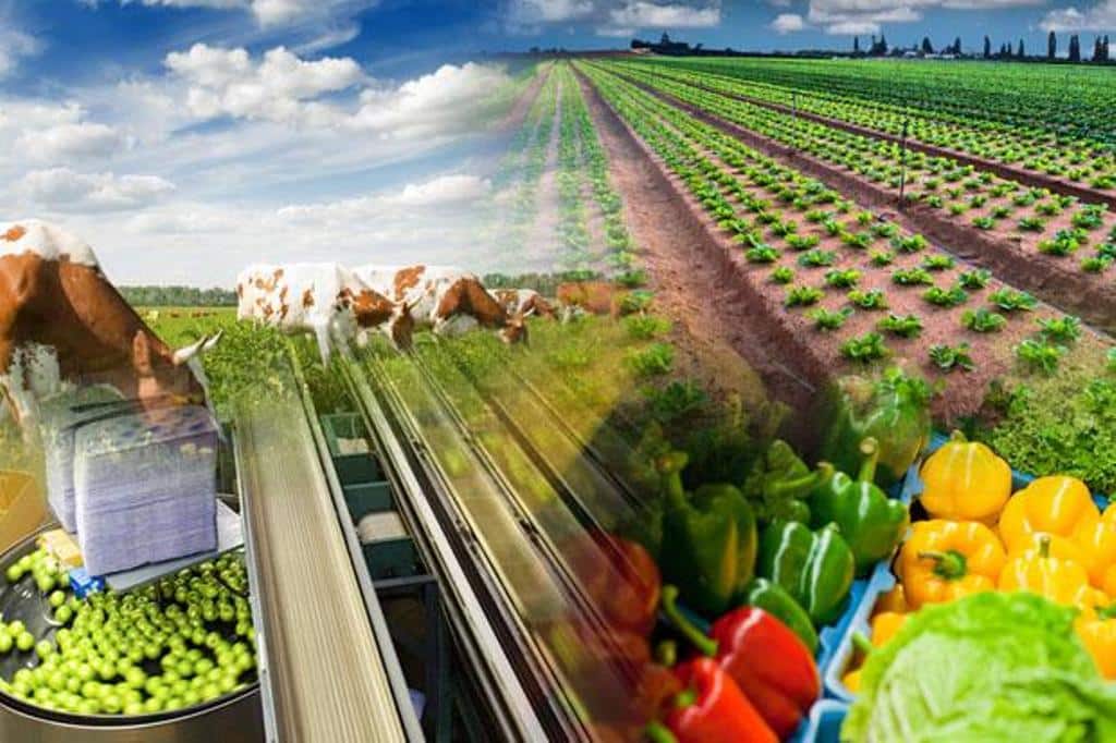 Apoyo del agro al informe de la Comisión de Agricultura del PE sobre el Plan europeo de Acción Ecológica