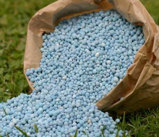 La UE aprueba el uso de fertilizantes Renure como alternativa a los fertilizantes químicos