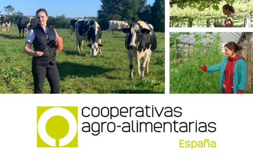 Palma de Mallorca acogerá el IX Congreso Nacional de Cooperativas Agro-alimentarias los días 27 y 28 de marzo de 2025
