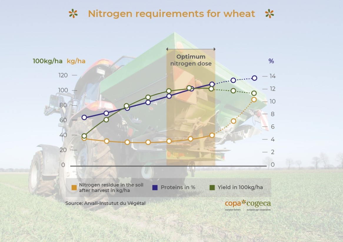 nitro for wheat-01
