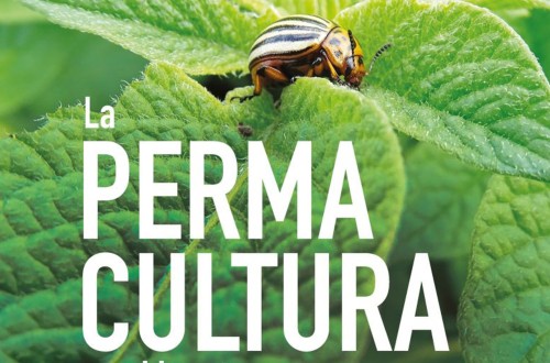 Ediciones Mundi-Prensa publica «La Permacultura en el huerto mes a mes», el superventas de Damien Dekarz