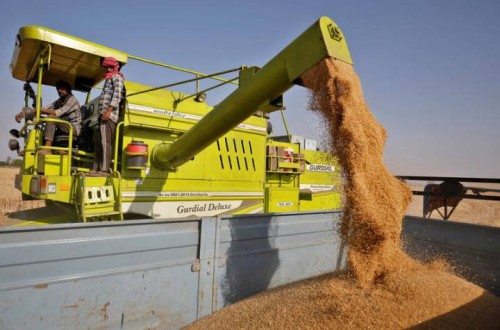 El CIC prevé menos producción mundial de trigo y maíz en la próxima campaña 2022/23