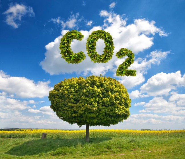 El PE espera que el “cultivo del carbono” contribuya a elevar hasta el 57% el objetivo de reducción de GEI para 2030