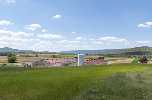 ICPOR invierte unos 15 millones de euros y genera 150 empleos en el medio rural en 2021