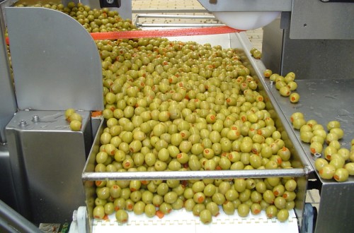 Las cooperativas de aceituna de mesa analizarán el futuro de su sector en Sevilla
