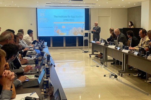 El sector comercializador del huevo de la UE se reune en Madrid