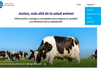 Ceva Salud Animal lanza un nuevo blog sobre la producción de rumiantes