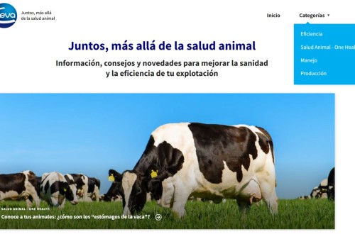 Ceva Salud Animal lanza un nuevo blog sobre la producción de rumiantes