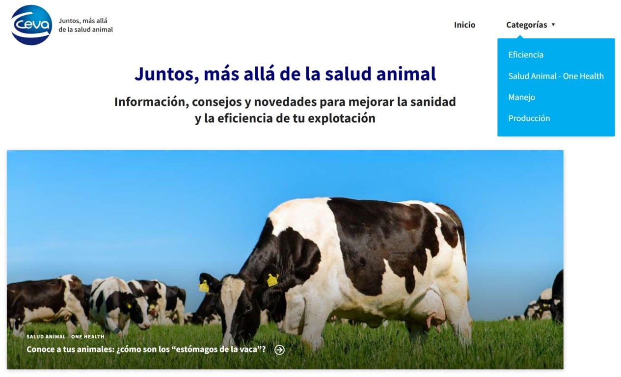 Ceva Salud Animal lanza un nuevo blog sobre la producción de rumiantes