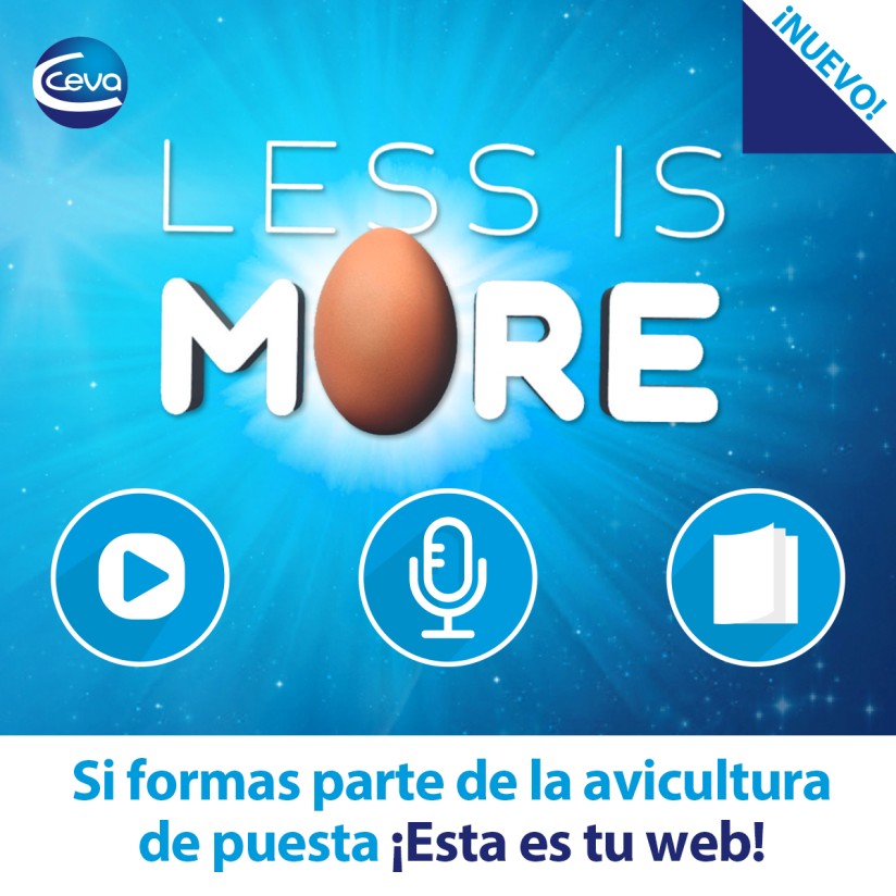 Ceva profundiza en la situación de la avicultura de puesta bajo su iniciativa ‘Less is More’