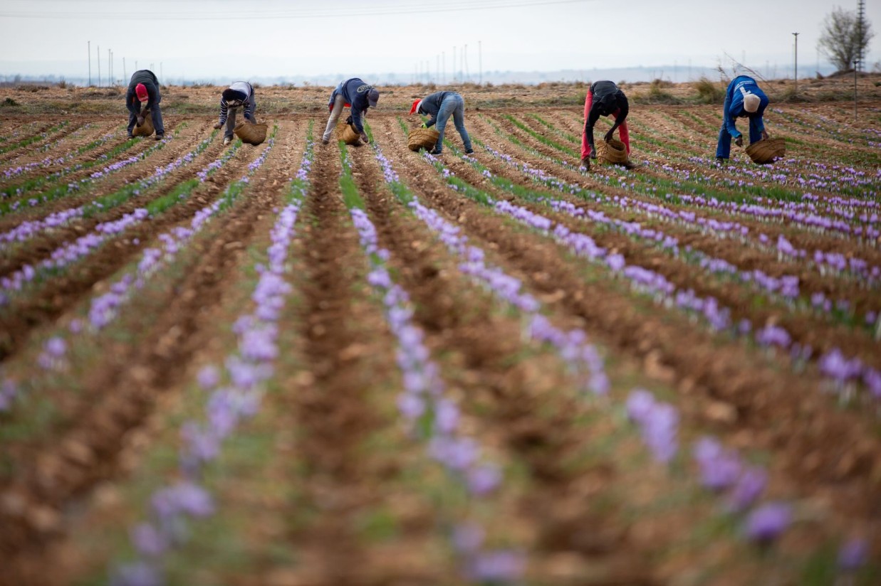 El paro registrado en Agricultura desciende un 6,1% y en más de 9.500 personas en abril