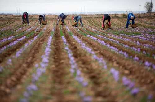 El paro registrado en Agricultura desciende un 6,1% y en más de 9.500 personas en abril
