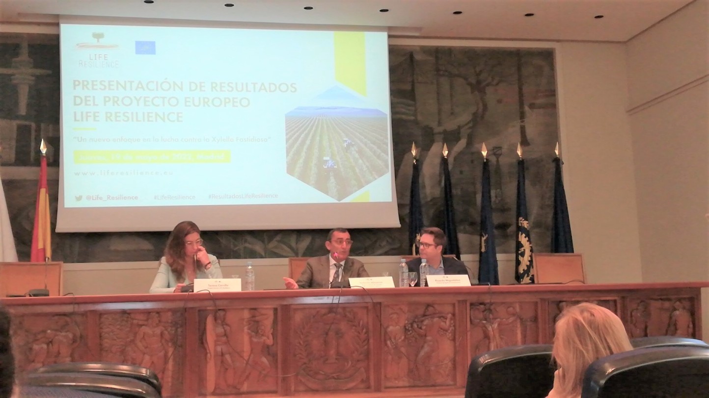 LIFE Resilience presenta sus resultados contra la Xylella fastidiosa