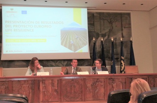 LIFE Resilience presenta sus resultados contra la Xylella fastidiosa
