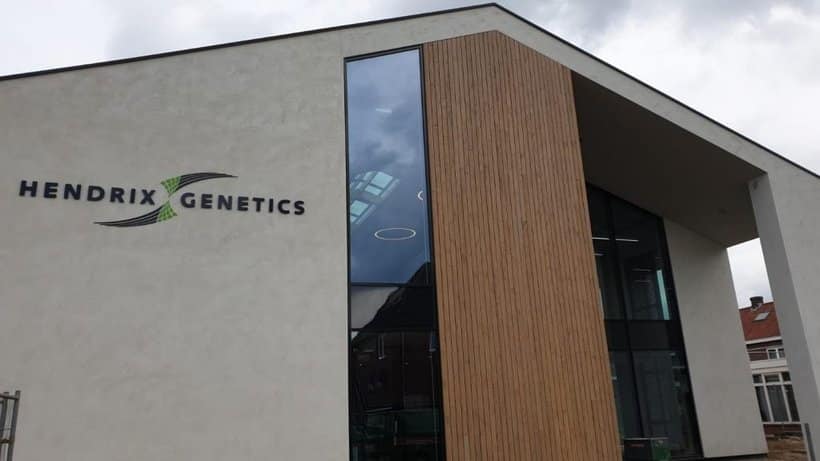 Antoon van den Berg nuevo CEO de Hendrix Genetics