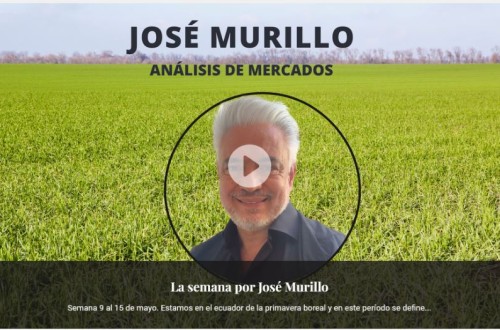 Análisis semanal del mercado de cereales. Por José Murillo