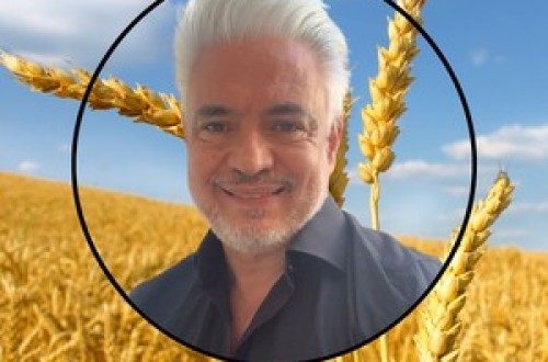 Análisis semanal de los mercados de cereales. Por José Murillo